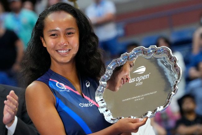 哈兰德等动 哈兰德等动