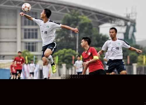 最佳阵容公 最佳阵容公